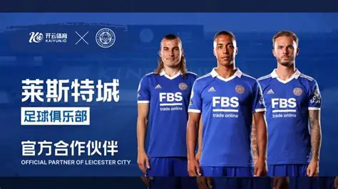 九游体育(中国)官方网站_JIUYOU SPORTS