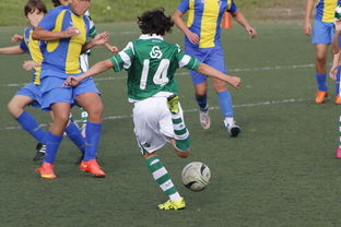 九游娱乐登录-中国足球赛事直播流量与关注度指数追踪，中国足球关注度数据