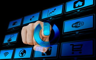 九游娱乐官网-体育新闻中心共建体育新闻编辑智能校对系统，体育新闻报道范文大全